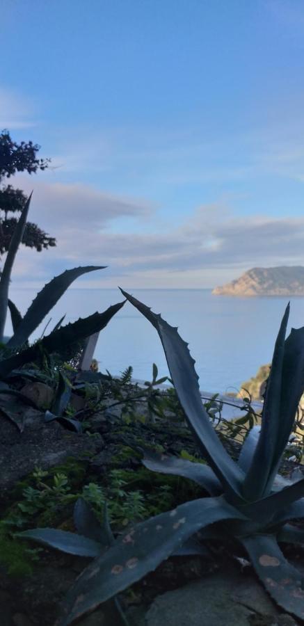 La Casetta Rossa Corniglia Kültér fotó
